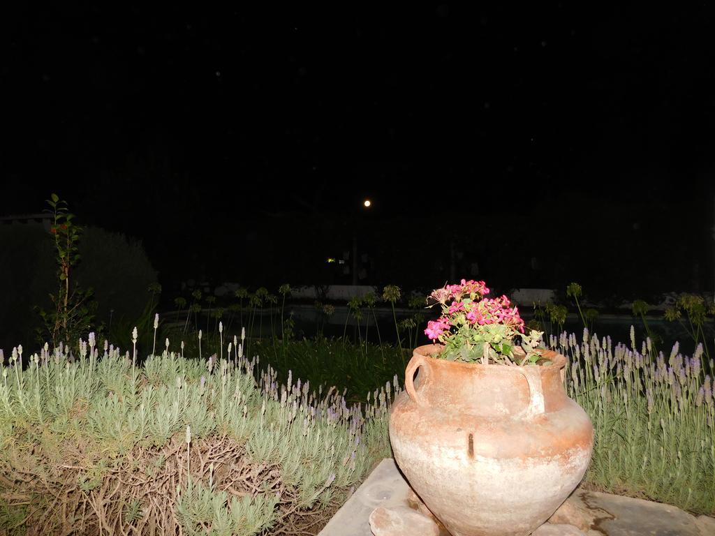 Hotel Portal Del Santo Cafayate Zewnętrze zdjęcie